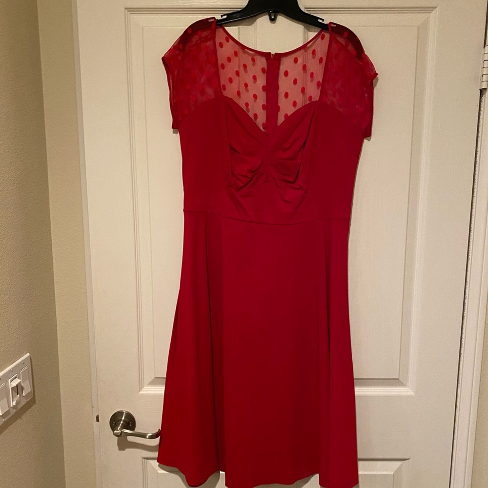 Adorable sheer sleeved dress